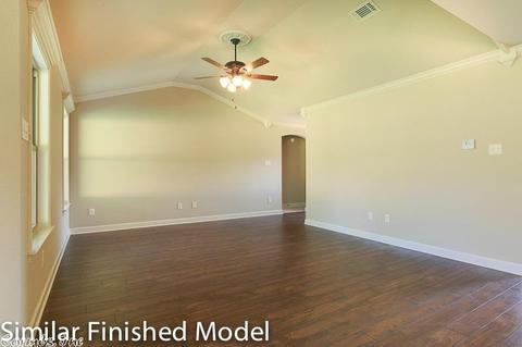 29 Hillsboro, Austin, AR 72007 photo 6