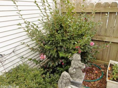 502 N Main St, Beebe, AR 72012 photo 26