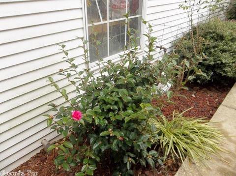502 N Main St, Beebe, AR 72012 photo 24