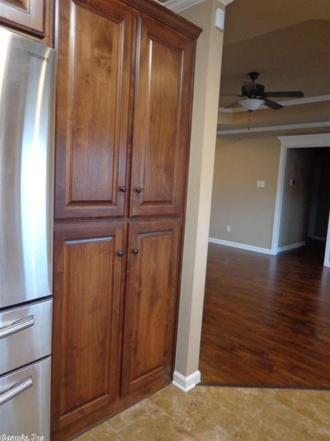 93 Smarty Jones Cir, Austin, AR 72007 photo 9