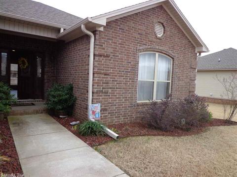 93 Smarty Jones Cir, Austin, AR 72007 photo 28