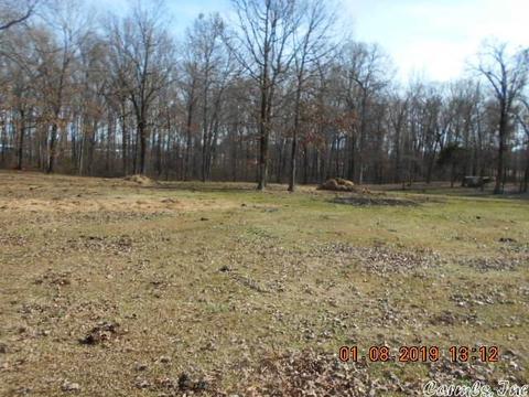 7326 Mt Tabor Rd, Lonoke, AR 72086 photo 8