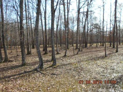 7326 Mt Tabor Rd, Lonoke, AR 72086 photo 6
