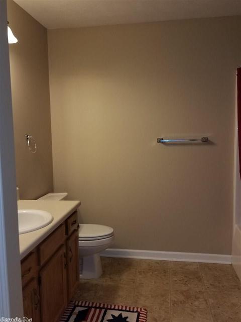 455 Lakeview, Edgemont, AR 72044 photo 10