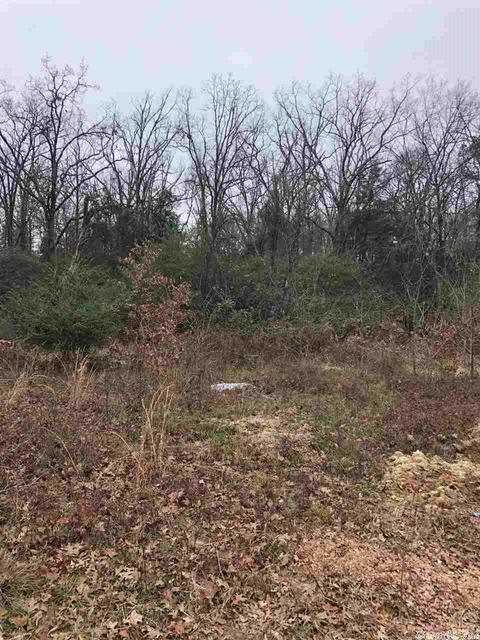 2525 Collins Dr, Conway, AR 72034 photo 4