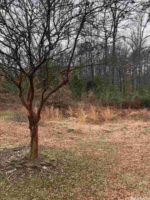 2525 Collins Dr, Conway, AR 72034 photo 1