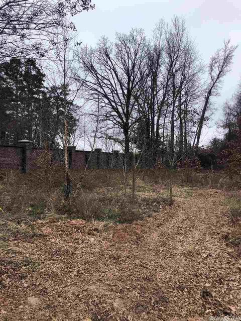 2525 Collins Dr, Conway, AR 72034 photo 3