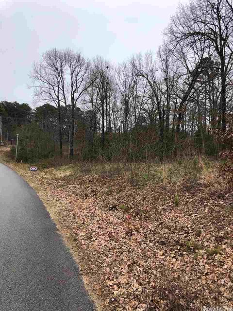 2525 Collins Dr, Conway, AR 72034 photo 2