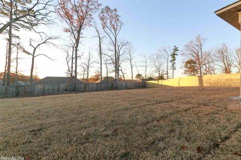 27 Fletcher Dr, Austin, AR 72007 photo 29