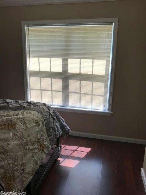 46 Wagner Cv, Bryant, AR 72022 photo 9