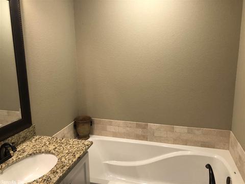 219 Creek View Dr, Austin, AR 72007 photo 20