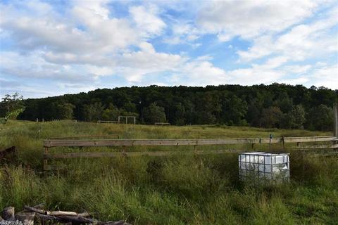 16467 Thomas Loop Rd, Benton, AR 72019 photo 33