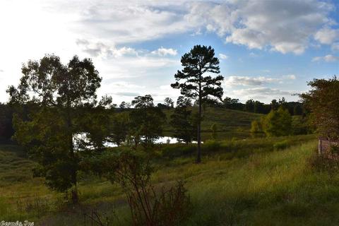16467 Thomas Loop Rd, Benton, AR 72019 photo 40