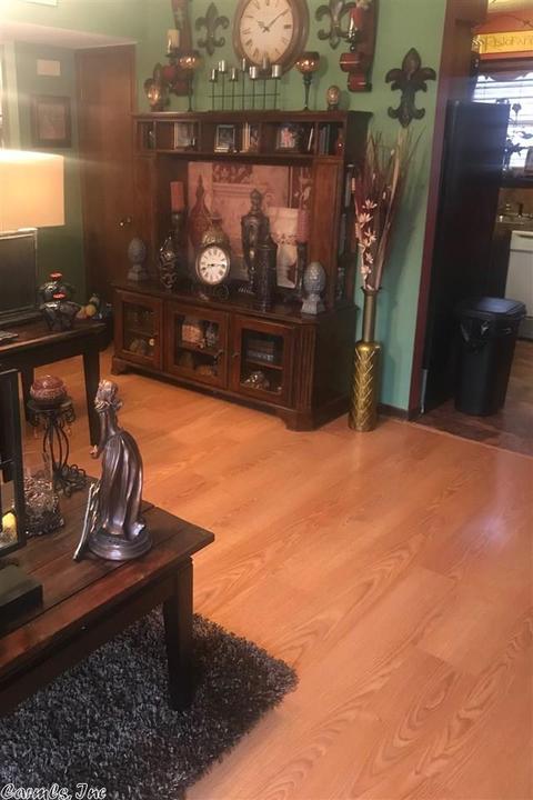 220 E Hazel, Walnut Ridge, AR 72476 photo 5