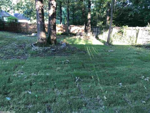 2703 Eagle Run Dr, Benton, AR 72015 photo 20
