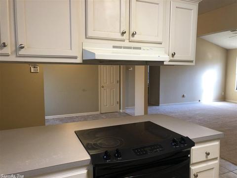 2703 Eagle Run Dr, Benton, AR 72015 photo 10