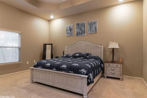 3 Pine Mountain Dr, Conway, AR 72034 photo 20