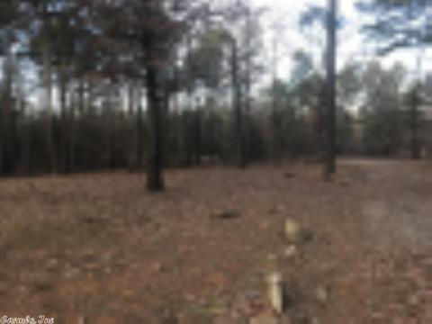 56 Hidden Valley Dr, Conway, AR 72032 photo 2