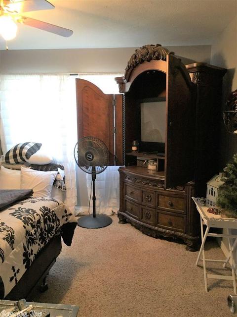174 Tuscon Ln, Viola, AR 72583 photo 11