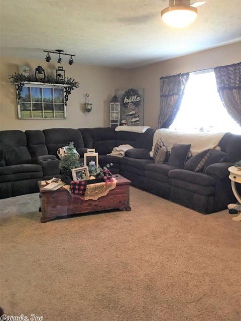 174 Tuscon Ln, Viola, AR 72583 photo 3