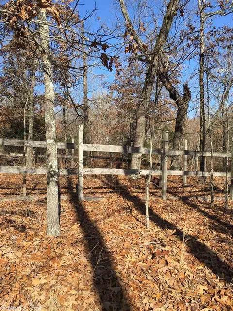 174 Tuscon Ln, Viola, AR 72583 photo 19
