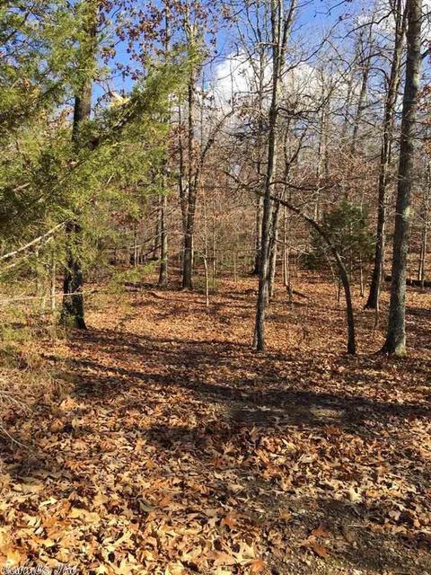 174 Tuscon Ln, Viola, AR 72583 photo 20