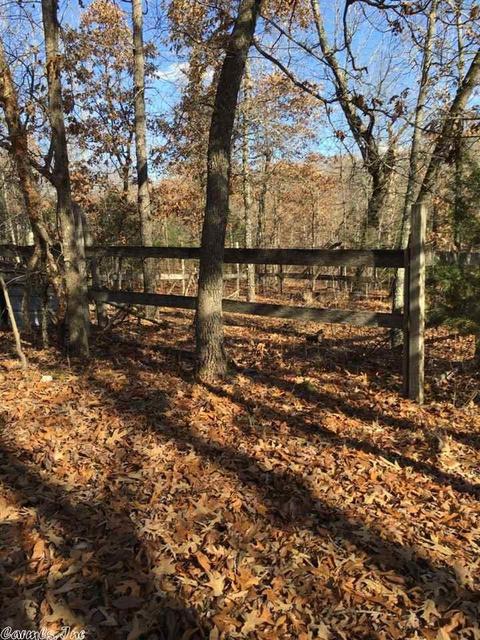 174 Tuscon Ln, Viola, AR 72583 photo 18