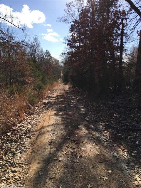 174 Tuscon Ln, Viola, AR 72583 photo 22
