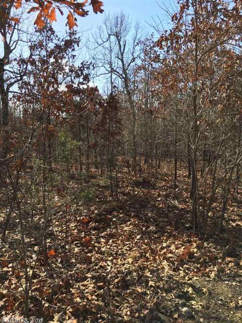 174 Tuscon Ln, Viola, AR 72583 photo 21