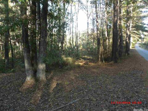 7560 Corrigan Rd, Mabelvale, AR 72103 photo 7