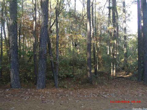 7560 Corrigan Rd, Mabelvale, AR 72103 photo 9