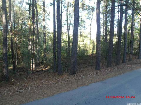 7560 Corrigan Rd, Mabelvale, AR 72103 photo 10