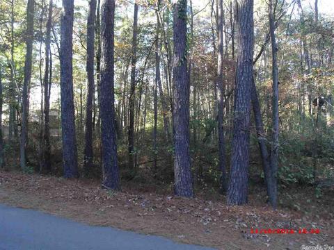 7560 Corrigan Rd, Mabelvale, AR 72103 photo 8