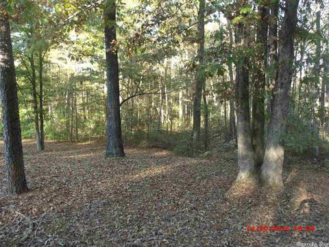 7560 Corrigan Rd, Mabelvale, AR 72103 photo 5