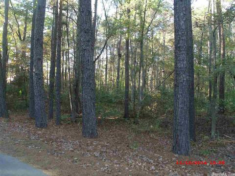 7560 Corrigan Rd, Mabelvale, AR 72103 photo 12