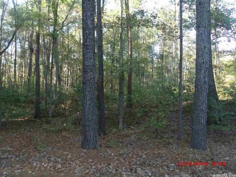 7560 Corrigan Rd, Mabelvale, AR 72103 photo 11