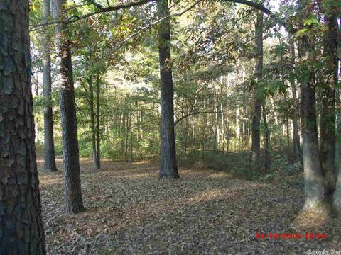 7560 Corrigan Rd, Mabelvale, AR 72103 photo 6