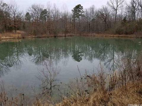 19 Pine Valley Dr, Conway, AR 72034 photo 2