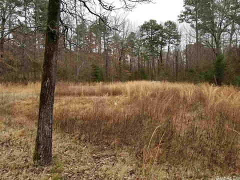 19 Pine Valley Dr, Conway, AR 72034 photo 5