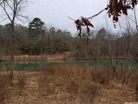 19 Pine Valley Dr, Conway, AR 72034 photo 1