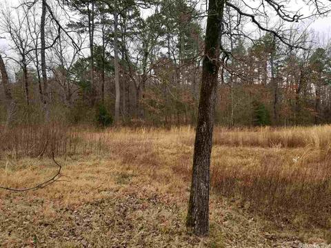 19 Pine Valley Dr, Conway, AR 72034 photo 4