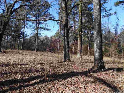 14216 Alexander Rd, Alexander, AR 72002 photo 18