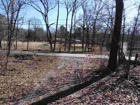 14216 Alexander Rd, Alexander, AR 72002 photo 16