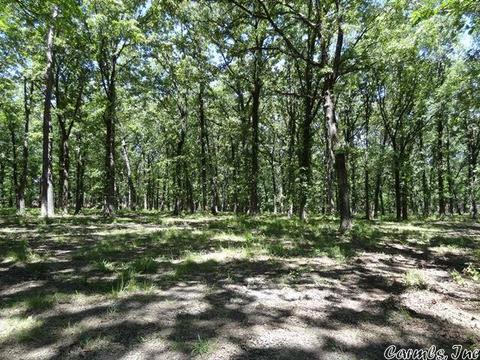 14216 Alexander Rd, Alexander, AR 72002 photo 4