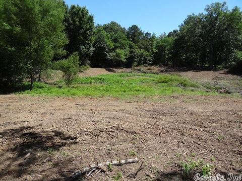 14216 Alexander Rd, Alexander, AR 72002 photo 13