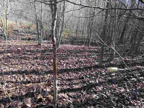 14216 Alexander Rd, Alexander, AR 72002 photo 25