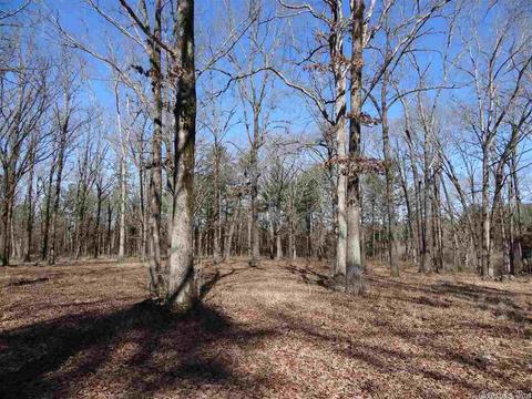 14216 Alexander Rd, Alexander, AR 72002 photo 19