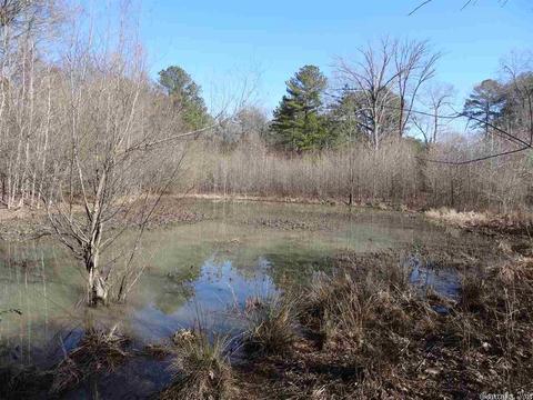 14216 Alexander Rd, Alexander, AR 72002 photo 24