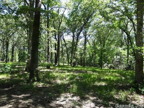 14216 Alexander Rd, Alexander, AR 72002 photo 3