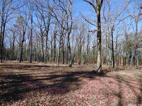 14216 Alexander Rd, Alexander, AR 72002 photo 23
